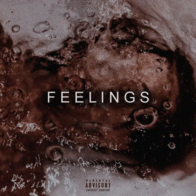 Feelings