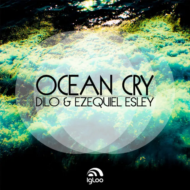 Ocean Cry - Pablo Denegri Remix