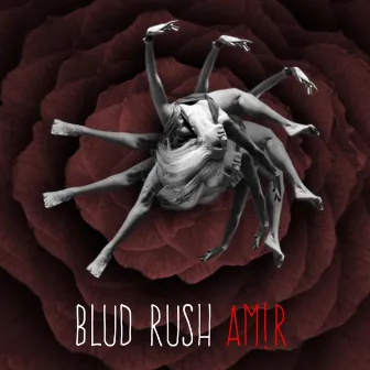 Blud Rush by AM!R