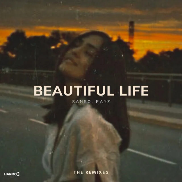 Beautiful Life - Tros Remix