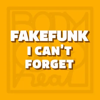 I Can't Forget by FakeFunk