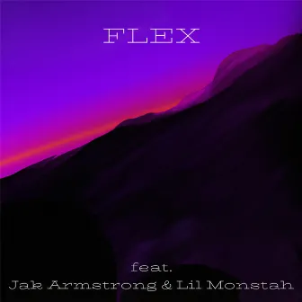 Flex by Unknown Artist