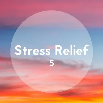 Stress Relief, Vol. 5 by Stress Relief Calm Oasis