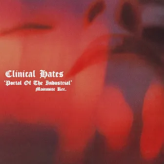 Portal Of The Industrial by Clinical Hates