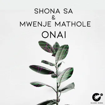 Onai by Mwenje Mathole