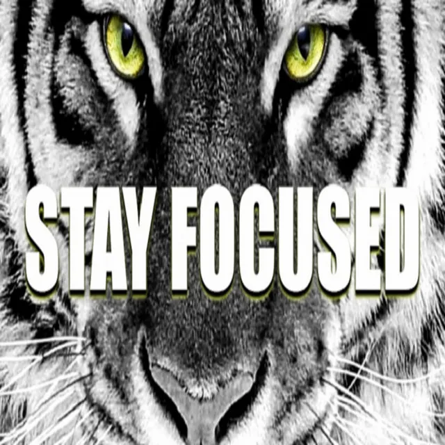 Stay Focused