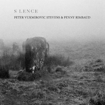 Of Summer's Passing by Peter Vukmirovic Stevens