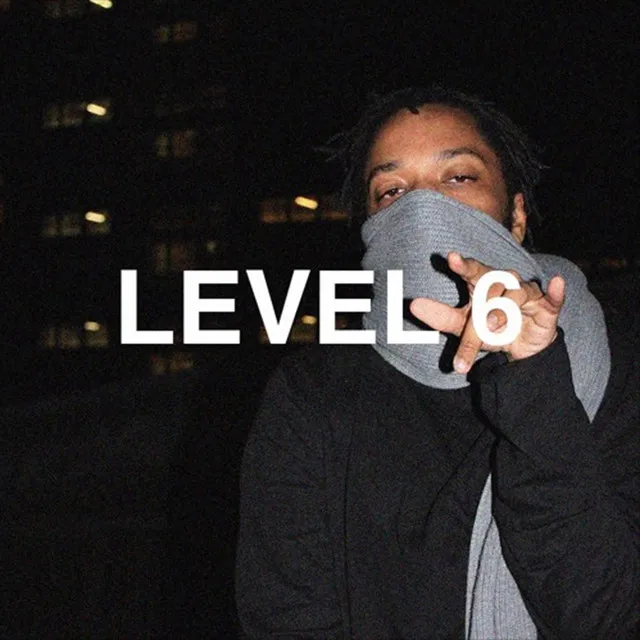 LEVEL 6