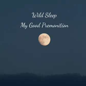 My Good Premonition by Wild Sleep