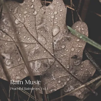 Rain Music: Peaceful Raindrops Vol. 1 by Natures Acoustics