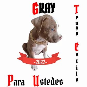 Tengo Estilo by Gray