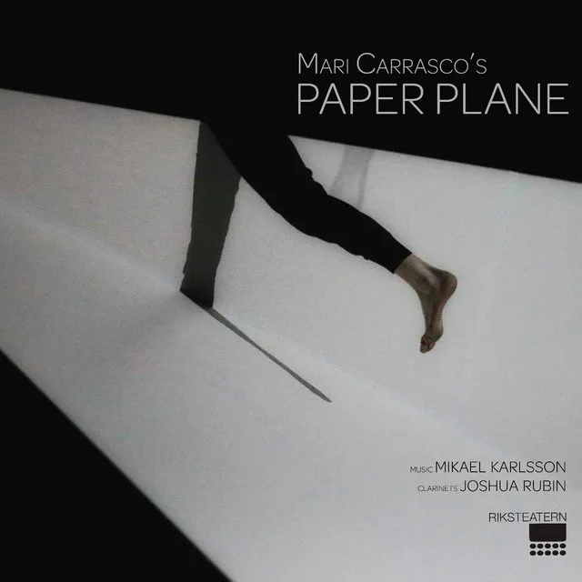 Paper Plane