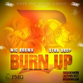 Burn up by Mic Brown