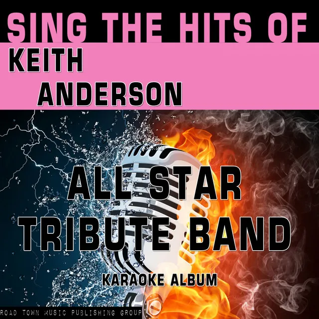 Sing the Hits of Keith Anderson