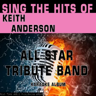 Sing the Hits of Keith Anderson by All Star Tribute Band