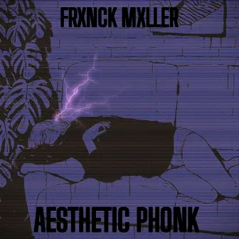 Aesthetic Phonk by FRXNCK MXLLER