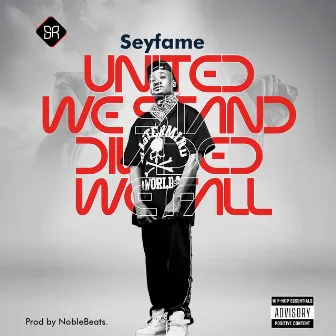 United We Stand, Divided We Fall by Seyfame