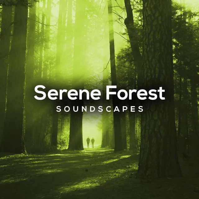 ! ! ! ! ! ! ! ! Serene Forest Soundscapes ! ! ! ! ! ! ! !