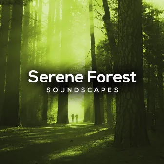 ! ! ! ! ! ! ! ! Serene Forest Soundscapes ! ! ! ! ! ! ! ! by Forest