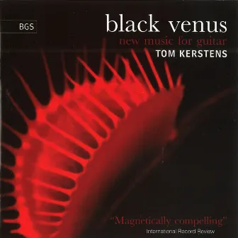 Black Venus - New Music for Guitar by Tom Kerstens