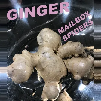 Ginger by Mailbox Spiders