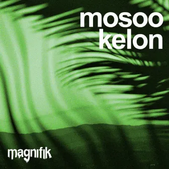 Kelon by Mosoo