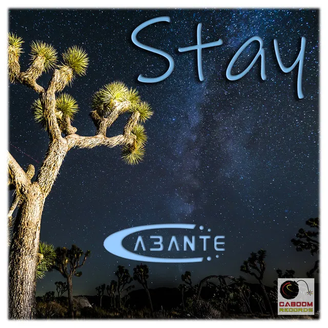 Stay