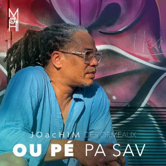 Ou pé pa sav by Joachim Des Ormeaux