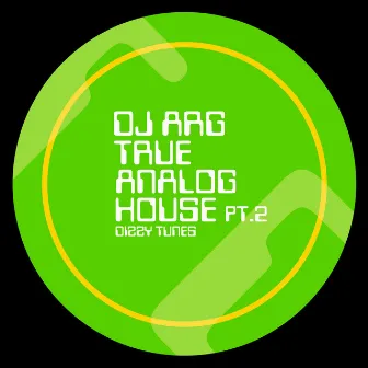 True Analog House, Pt. 2 by DJ Arg