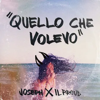 Quello che volevo by Joseph