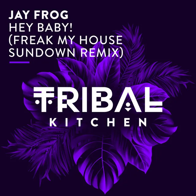 Hey Baby! - Freak My House Sundown Radio Edit