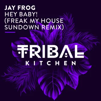 Hey Baby! (Freak My House Sundown Remix) by Jay Frog