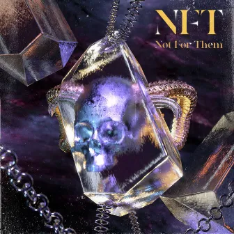 N.F.T by Hidden Lime