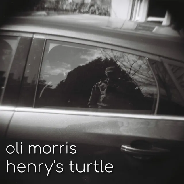 Henry's Turtle