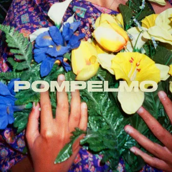 POMPELMO by Gioia Lucia