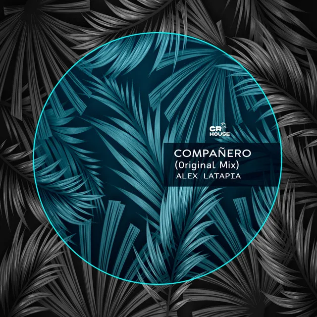 Compañero