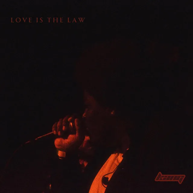 Love Is The Law