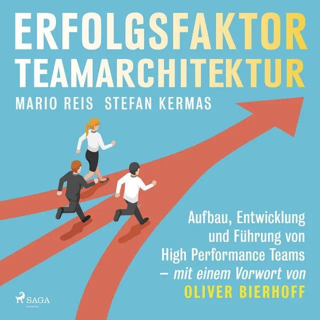 Kapitel 2.2 - Erfolgsfaktor Teamarchitektur: Aufbau, Entwicklung und Führung von High Performance Teams - mit einem Vorwort von Oliver Bierhoff