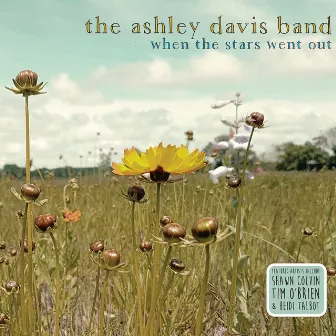 When the Stars Went Out by Ashley Davis