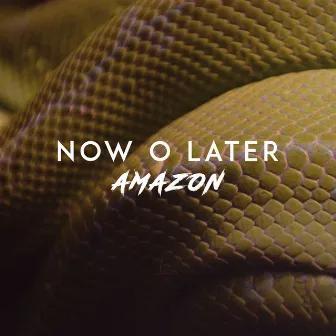 Amazon by Now O Later