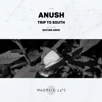 Trip to South by Anush