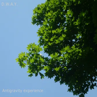 Antigravity Expirience by 