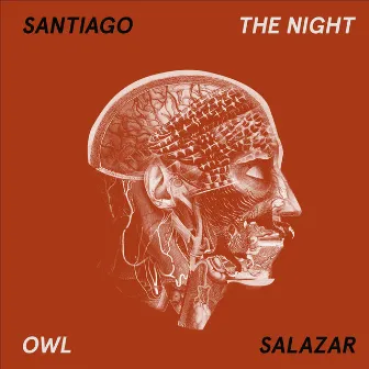 The Night Owl by Santiago Salazar