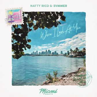 When I Look At You by Natty Rico