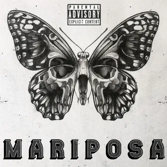 Mariposa by Soul Volgo