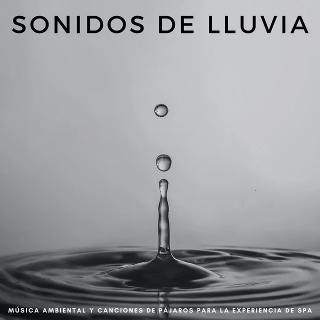 Sonidos De Lluvia: Música Ambiental Y Canciones De Pájaros Para La Experiencia De Spa