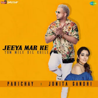 Jeeya Mar Ke Tum Mile Dil Khile - Single by Parichay