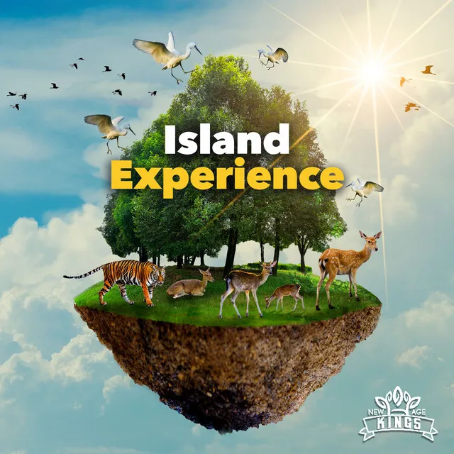 Island Experience