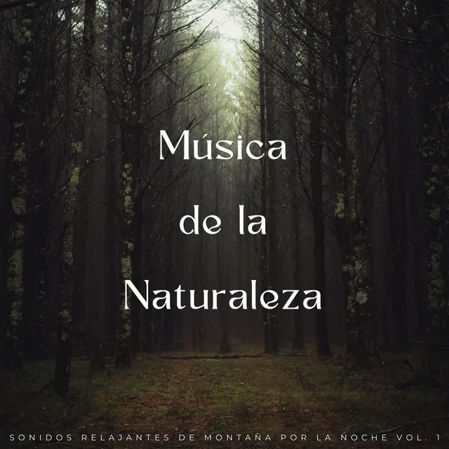 Música De La Naturaleza: Sonidos Relajantes De Montaña Por La Noche Vol. 1