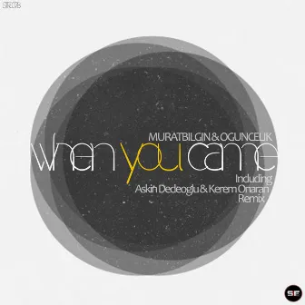 When You Came by Ogun Celik